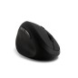 Kensington Pro Fit Ergo Wireless Mouse Trådløs Sort Kensington Pro Fit Ergo Wireless Mouse Trådløs Sort